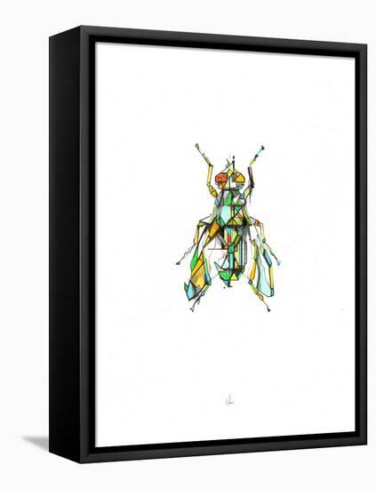 Fly-Alexis Marcou-Framed Stretched Canvas