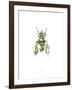 Fly-Alexis Marcou-Framed Art Print