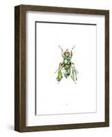 Fly-Alexis Marcou-Framed Art Print