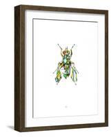 Fly-Alexis Marcou-Framed Art Print