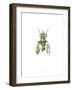 Fly-Alexis Marcou-Framed Art Print