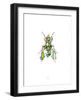 Fly-Alexis Marcou-Framed Art Print