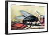 Fly-null-Framed Art Print