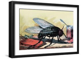 Fly-null-Framed Art Print