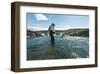 Flyfisherman in Iceland Stream-null-Framed Art Print