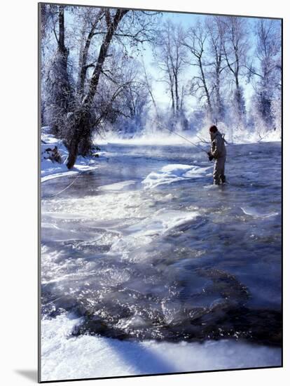 Flyfishing in Provo River on Cold Morning, Wasatch Mountains, near Heber, Utah, USA-Howie Garber-Mounted Premium Photographic Print