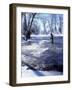 Flyfishing in Provo River on Cold Morning, Wasatch Mountains, near Heber, Utah, USA-Howie Garber-Framed Photographic Print
