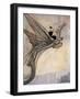 Flying a Dragon, Timlin-William M. Timlin-Framed Art Print