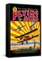 Flying Aces over the Rising Sun-C. B. Mayshark-Framed Stretched Canvas