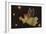Flying Angel Holding Starstars in Background-Beverly Johnston-Framed Giclee Print