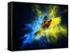 Flying Ara Parrot over Colourful Powder Explosion-NejroN Photo-Framed Stretched Canvas