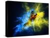 Flying Ara Parrot over Colourful Powder Explosion-NejroN Photo-Stretched Canvas