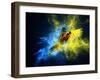 Flying Ara Parrot over Colourful Powder Explosion-NejroN Photo-Framed Photographic Print