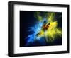 Flying Ara Parrot over Colourful Powder Explosion-NejroN Photo-Framed Photographic Print