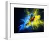 Flying Ara Parrot over Colourful Powder Explosion-NejroN Photo-Framed Photographic Print