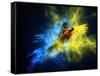 Flying Ara Parrot over Colourful Powder Explosion-NejroN Photo-Framed Stretched Canvas