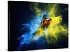 Flying Ara Parrot over Colourful Powder Explosion-NejroN Photo-Stretched Canvas