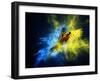 Flying Ara Parrot over Colourful Powder Explosion-NejroN Photo-Framed Photographic Print