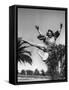 Flying Ballerina-null-Framed Stretched Canvas