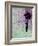 Flying Balloon Girl-Banksy-Framed Giclee Print