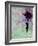 Flying Balloon Girl-Banksy-Framed Giclee Print