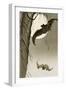 Flying Bats-Koson Ohara-Framed Giclee Print