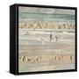 Flying Beach Birds II-Dan Meneely-Framed Stretched Canvas