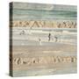 Flying Beach Birds II-Dan Meneely-Stretched Canvas