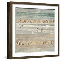 Flying Beach Birds II-Dan Meneely-Framed Photographic Print