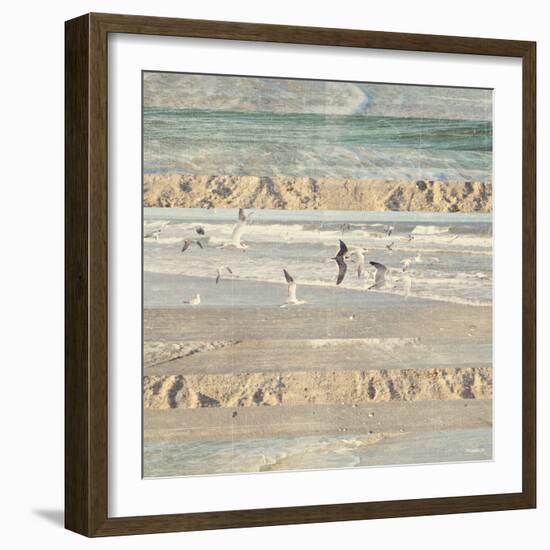 Flying Beach Birds II-Dan Meneely-Framed Photographic Print