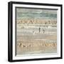 Flying Beach Birds II-Dan Meneely-Framed Photographic Print