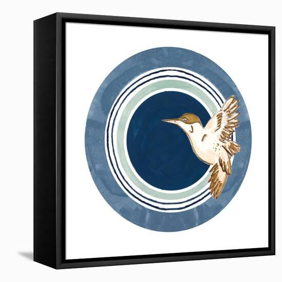 Flying Bird Circle-Patricia Pinto-Framed Stretched Canvas