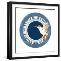Flying Bird Circle-Patricia Pinto-Framed Art Print