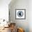 Flying Bird Circle-Patricia Pinto-Framed Art Print displayed on a wall