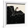 Flying Black Swan-incomible-Framed Art Print