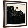 Flying Black Swan-incomible-Framed Art Print