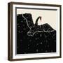 Flying Black Swan-incomible-Framed Art Print