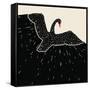 Flying Black Swan-incomible-Framed Stretched Canvas