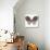 Flying Blossom I-Aimee Wilson-Stretched Canvas displayed on a wall