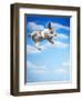 Flying Bulldog Puppy-Lew Robertson-Framed Premium Photographic Print