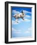 Flying Bulldog Puppy-Lew Robertson-Framed Premium Photographic Print