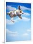 Flying Bulldog Puppy-Lew Robertson-Framed Photographic Print