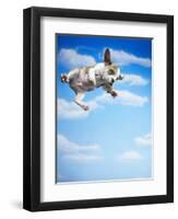 Flying Bulldog Puppy-Lew Robertson-Framed Photographic Print