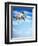 Flying Bulldog Puppy-Lew Robertson-Framed Photographic Print