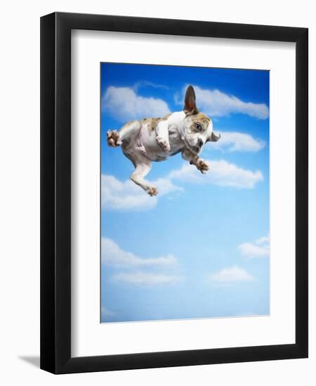 Flying Bulldog Puppy-Lew Robertson-Framed Photographic Print