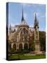 Flying Buttresses of Notre-Dame, Paris, France-Lisa S. Engelbrecht-Stretched Canvas