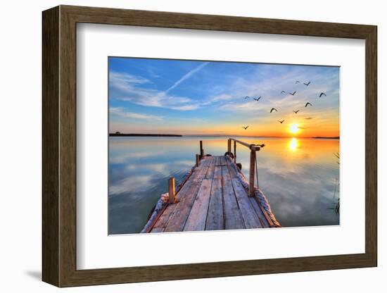 Flying by the Lake-kesipun-Framed Photographic Print