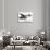 Flying Car-null-Photographic Print displayed on a wall