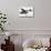 Flying Car-null-Mounted Photographic Print displayed on a wall