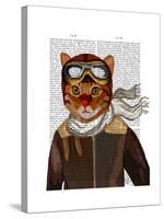 Flying Cat-Fab Funky-Stretched Canvas